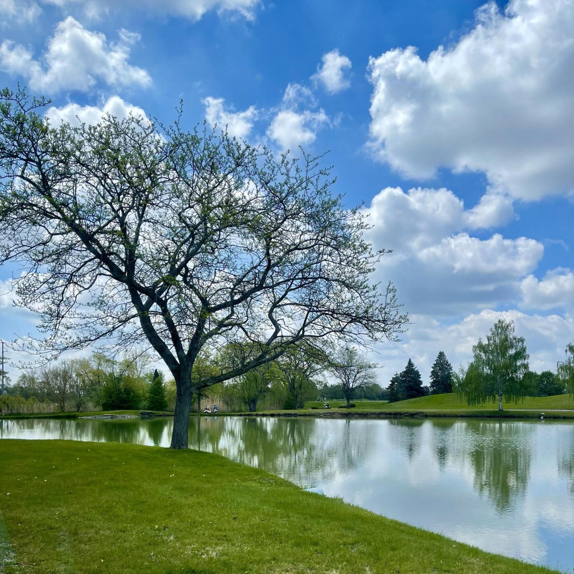 Bay Valley Resort & Conference Center 湾城 外观 照片